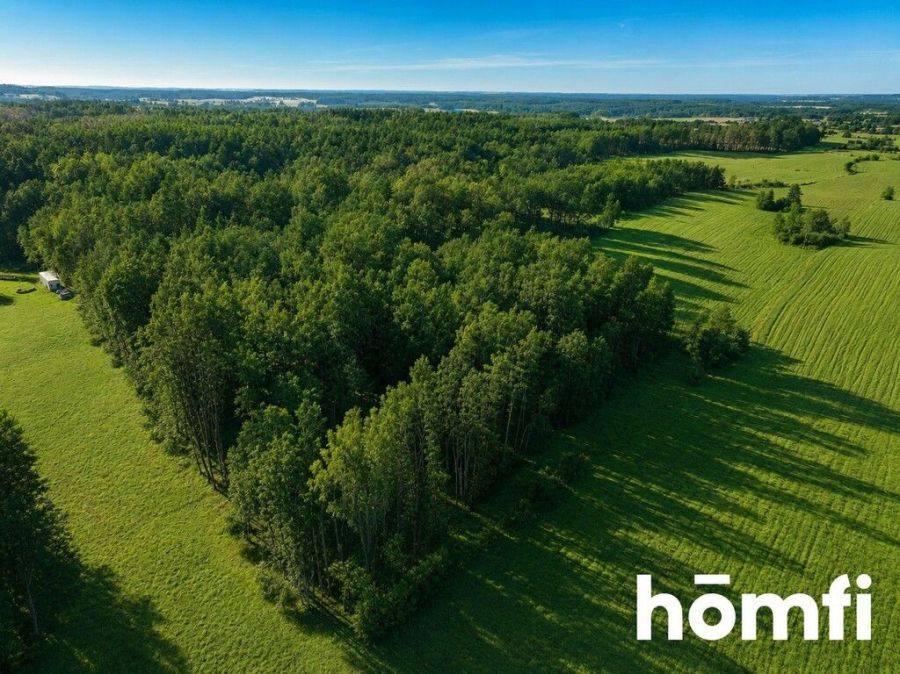 działka leśna – Czarna Dąbrówka, Rokity: zdjecie 99393894