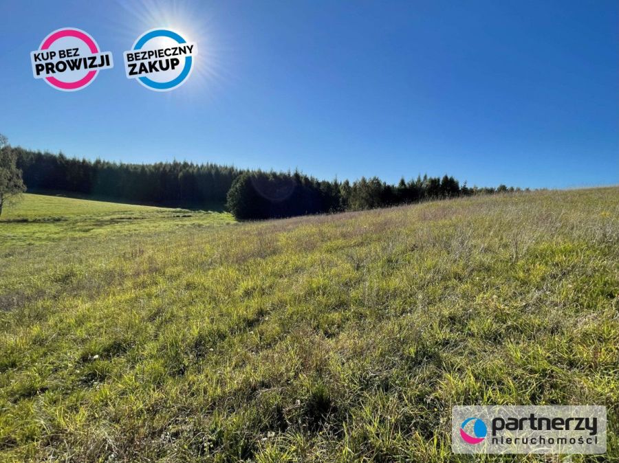 3,44 ha siedlisko, jezioro: zdjecie 98161574