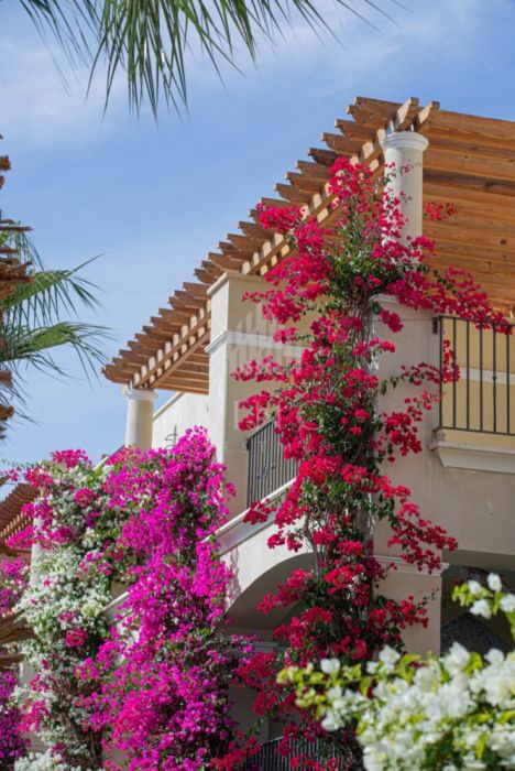 Inwestycja w Egipcie - Sahl Hasheesh | 112 m2: zdjecie 98832698