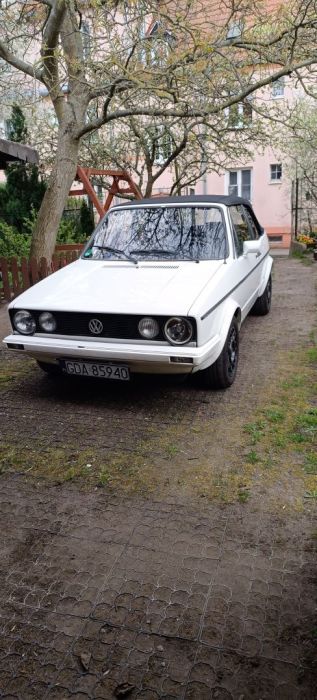 Volkswagen Golf 1 Cabrio: zdjęcie 98184250