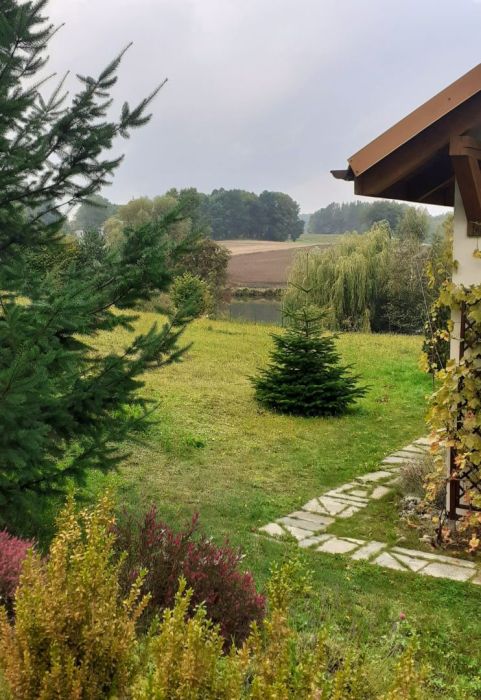Dom we Wrzeszu Dolnym - kupno lub zamiana (siedlisko + mieszkanie): zdjecie 98704323