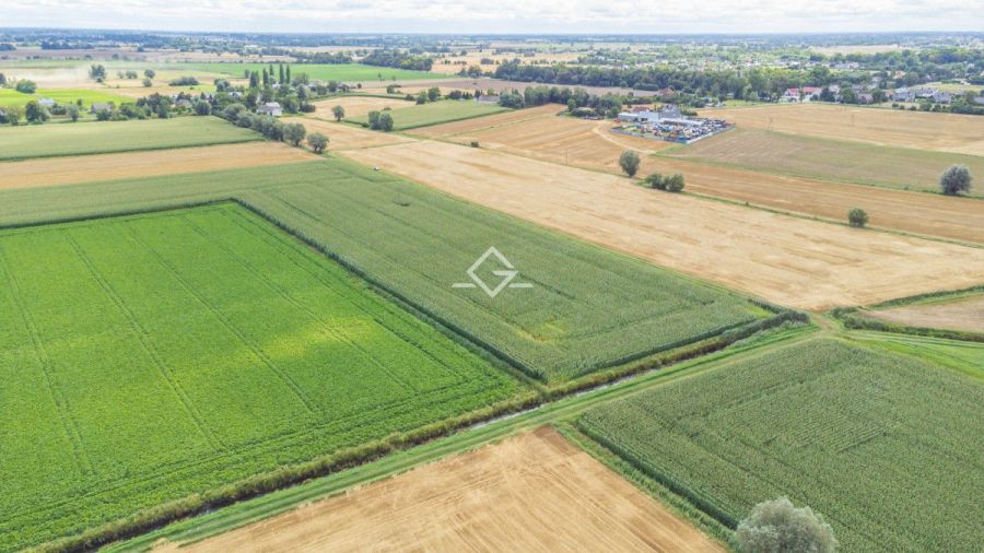Piękna działka|atrakcyjna cena| objęta MPZP: zdjecie 98241714