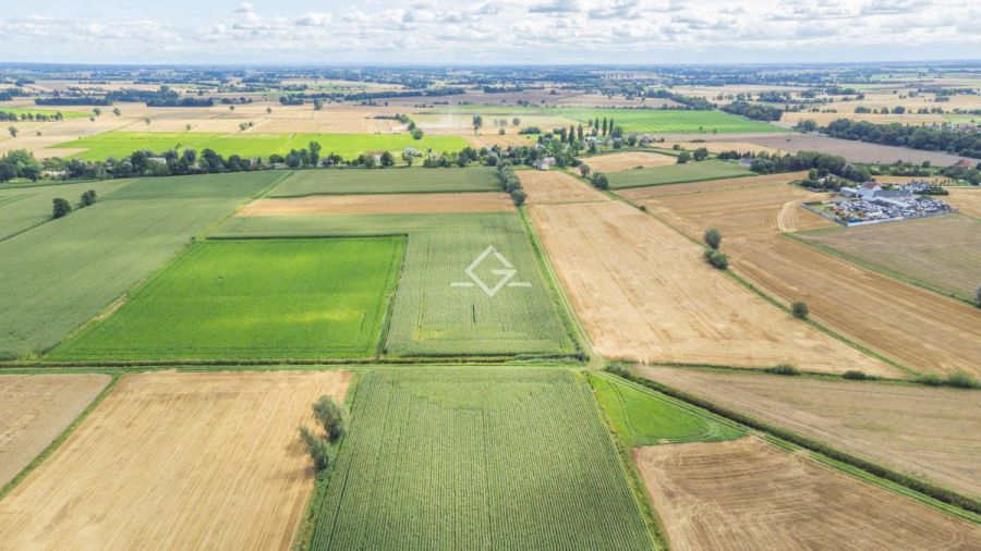 Piękna działka|atrakcyjna cena| objęta MPZP: zdjecie 98241715