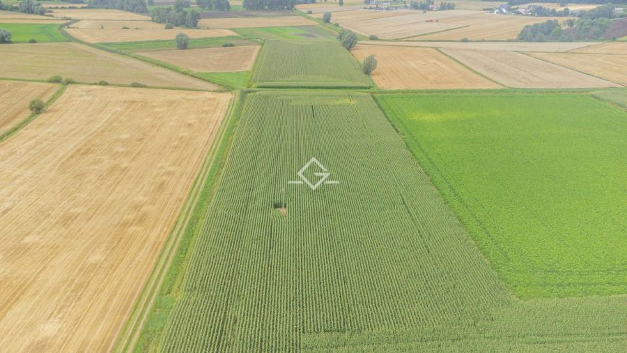 Piękna działka|atrakcyjna cena| objęta MPZP: zdjecie 98241716