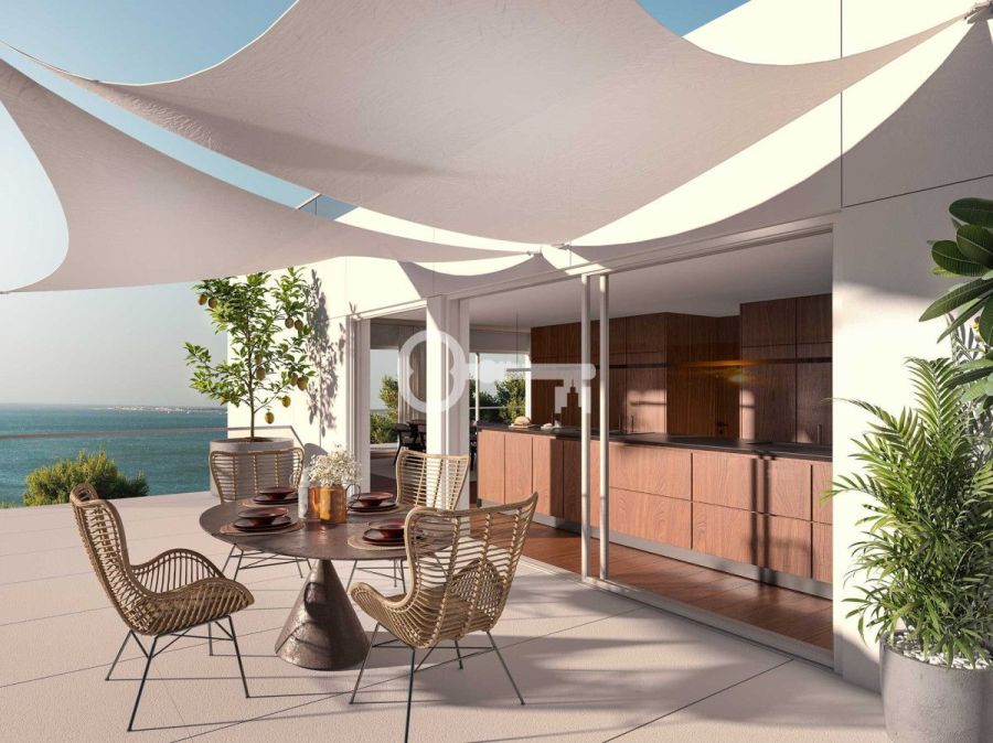 Quinta Do Cedro: zdjecie 98301058