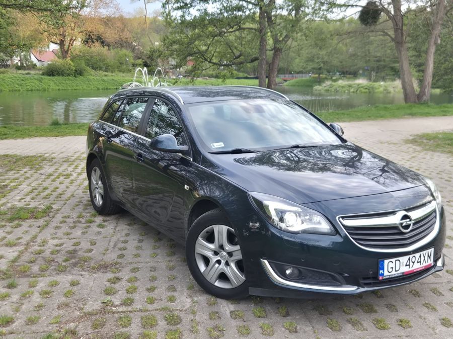 Opel Insignia Kombi: zdjęcie 98669898