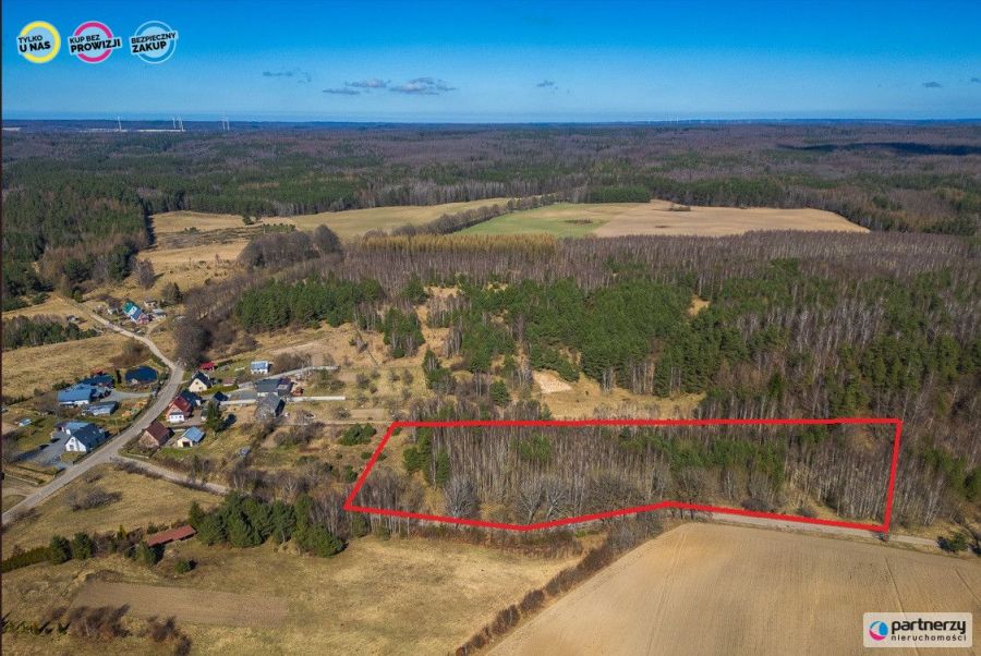 Działki z WZ 1,6 ha, Świetlino k. Lęborka, przy S6: zdjęcie 98609301