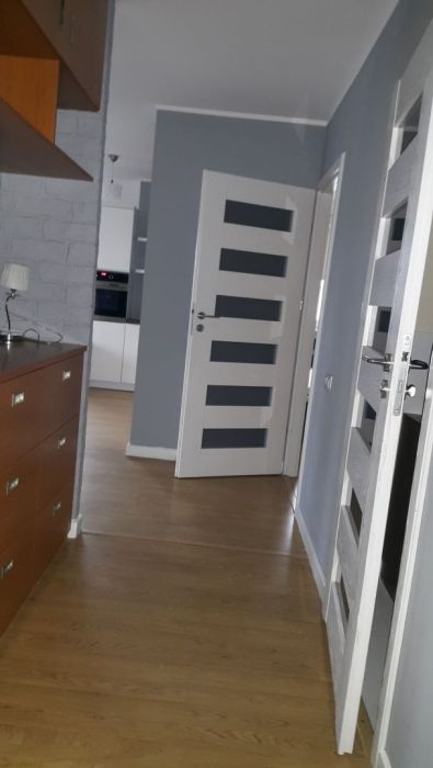 Malowanie mieszkań i domów | Malarz Gdańsk | Wolne terminy: zdjecie 98391009