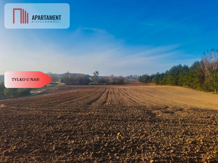 Działki budowlane, Spokojna Okolica !40 zł za metr: zdjęcie 98545037