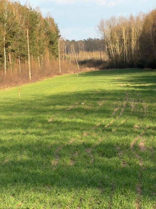 Działka z mediami - Budy Wolskie (Żyrardów) - Z: zdjęcie 98745378