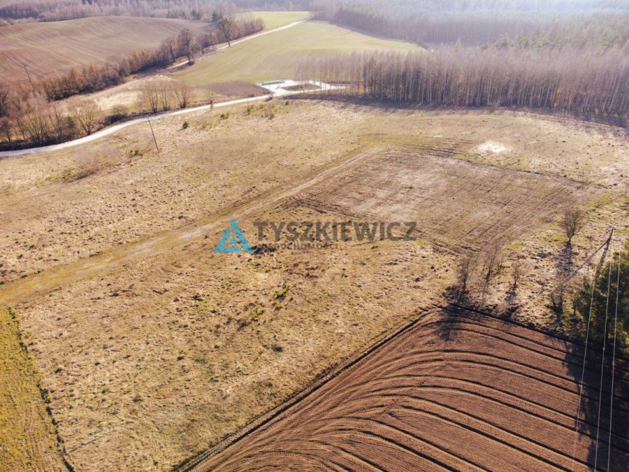 Działka budowlana w Szczodrowie: zdjęcie 98424745