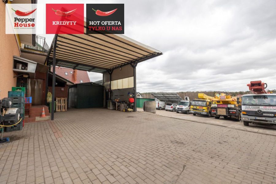 Dom z funkcją handlową – mieszkanie i biznes: zdjecie 99120097