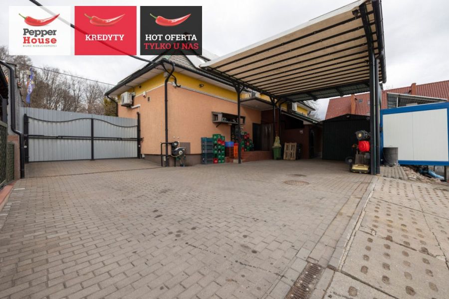 Dom z funkcją handlową – mieszkanie i biznes: zdjecie 99120098