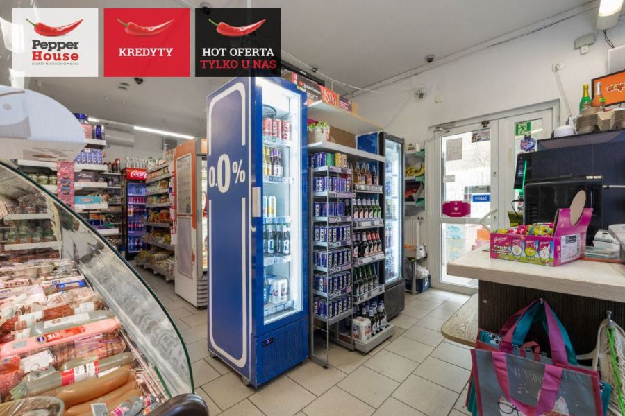 Dom z funkcją handlową – mieszkanie i biznes: zdjecie 99120082