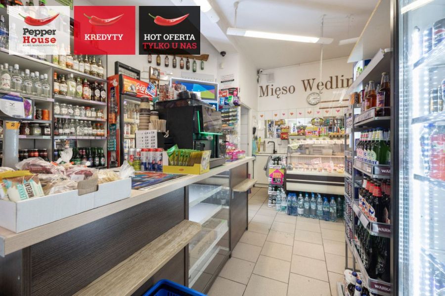 Dom z funkcją handlową – mieszkanie i biznes: zdjecie 99120083