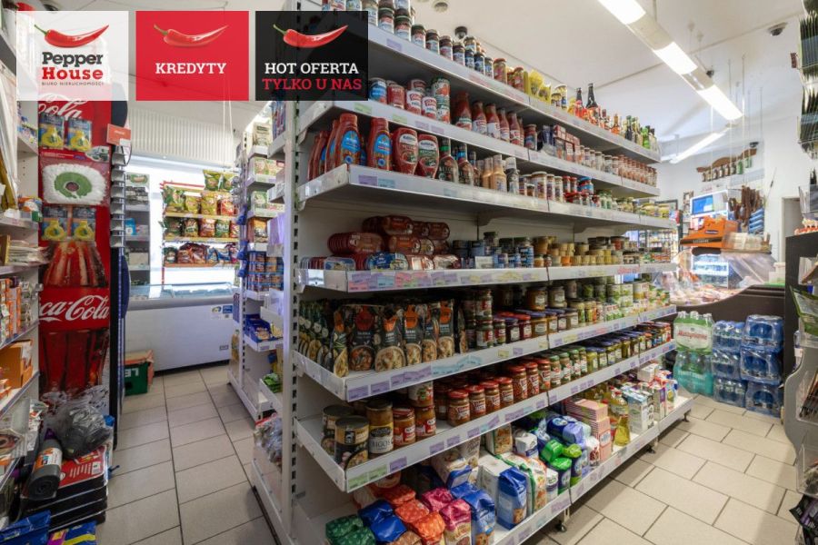 Dom z funkcją handlową – mieszkanie i biznes: zdjecie 99120084