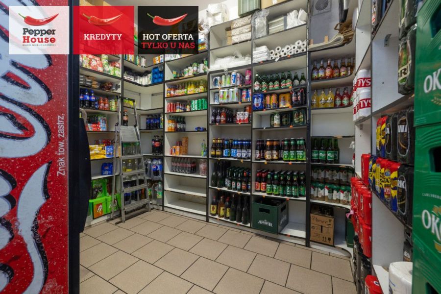 Dom z funkcją handlową – mieszkanie i biznes: zdjecie 99120086