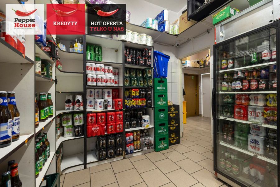 Dom z funkcją handlową – mieszkanie i biznes: zdjecie 99120087