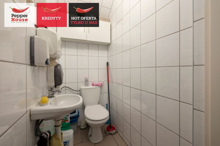 Dom z funkcją handlową – mieszkanie i biznes: zdjecie 99120089