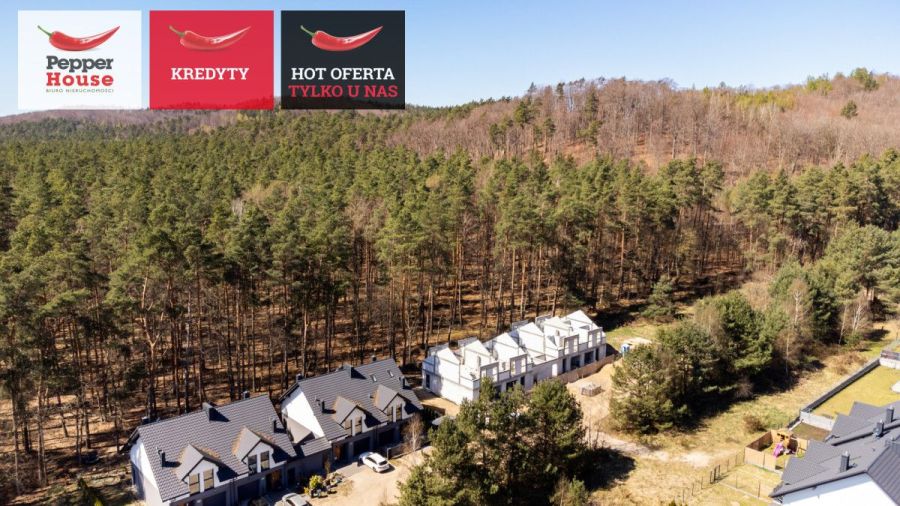 Ostatni dostępny - Dom na skraju lasu: zdjecie 99345033