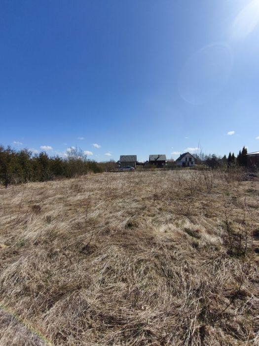 Ogrodzona działka Przyjaźń 1641 m2 z WZ: zdjęcie 98455122
