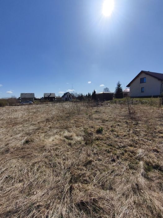 Ogrodzona działka Przyjaźń 1641 m2 z WZ: zdjęcie 98455124