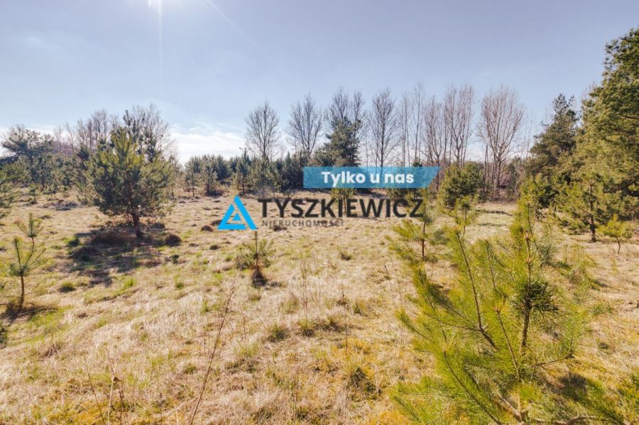 Działka na Kaszubach blisko Jeziora Żukówko!: zdjęcie 98462931