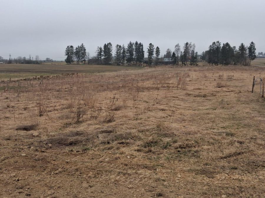 Działka z WZ 1133m2 | Asfalt | Bez Pośredników| Częstkowo: zdjęcie 98466963
