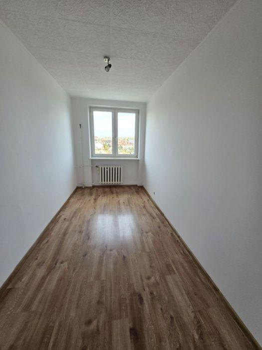Zakup bez konieczności zezwolenia MSWiA.: zdjęcie 98467280