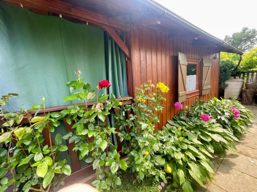 Ogródek działkowy ROD im. Domagalskiego Gdynia Mały Kack: zdjęcie 98468672