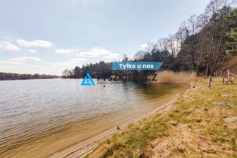 Działka z Linią Brzegową jeziora Wdzydze: zdjęcie 98468819