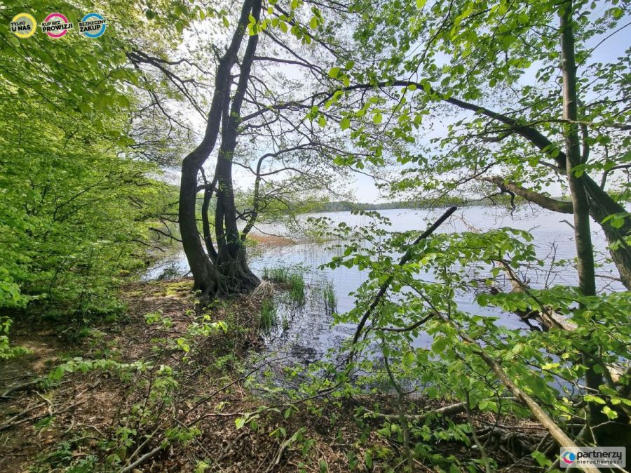 Działka z linią brzegową nad jeziora Salinko: zdjęcie 98727747