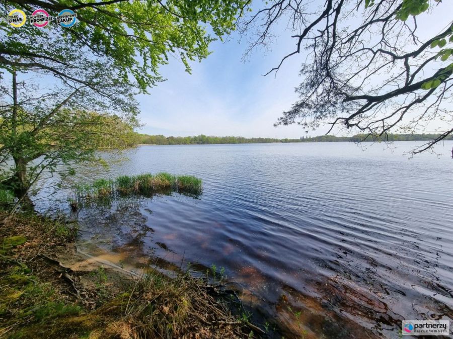 Działka z linią brzegową nad jeziora Salinko: zdjęcie 98727751