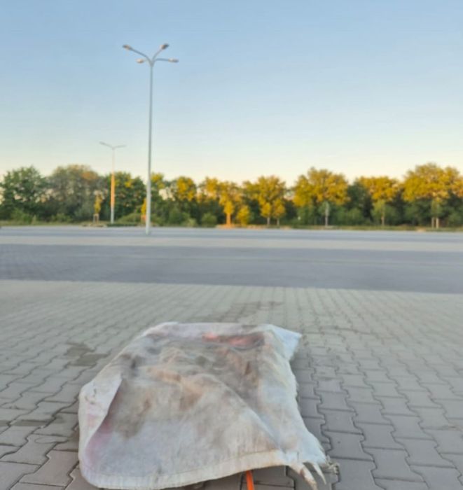 Szkolenia i usługi z Ochrony Przeciwpożarowej: zdjecie 98481292