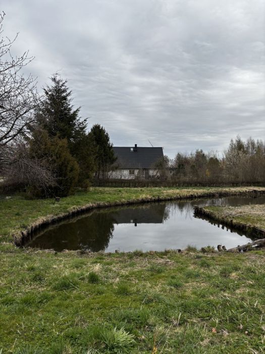Działka siedliskowa na sprzedaż: zdjęcie 98484833