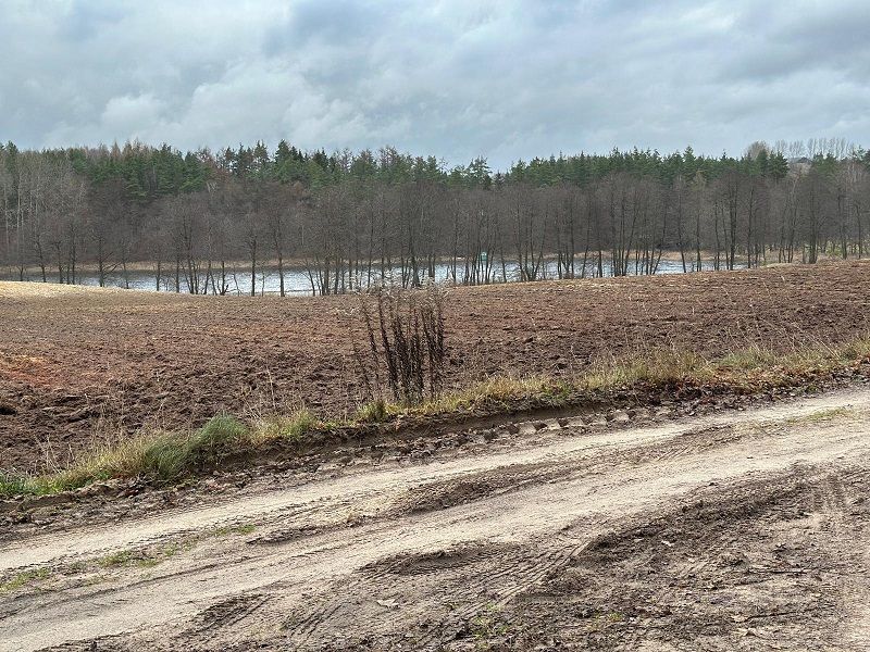 Syndyk sprzeda udział 6/324 w działkach zalesionych i drodze, Czaple: zdjęcie 98488810