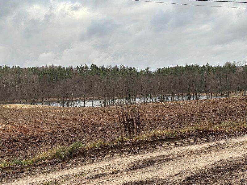 Syndyk sprzeda udział 6/324 w działkach zalesionych i drodze, Czaple: zdjęcie 98488812