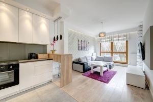 2 pokoje Brzeźno sauna/siłownia/garaż/kort,plaża.: zdjecie 66403584