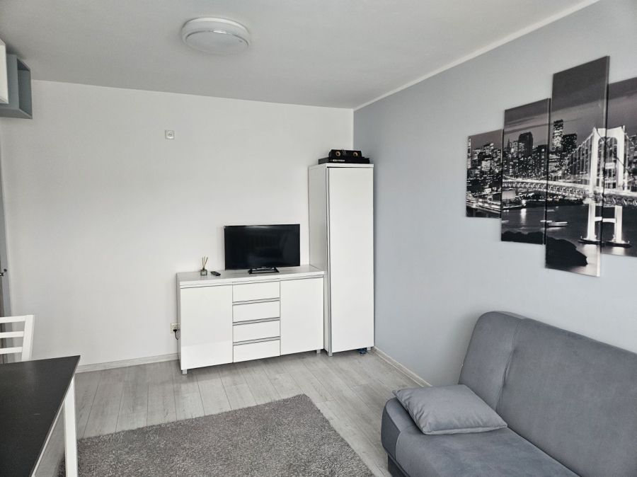 Wynajmę 2 pokojowe mieszkanie: zdjęcie 98493337