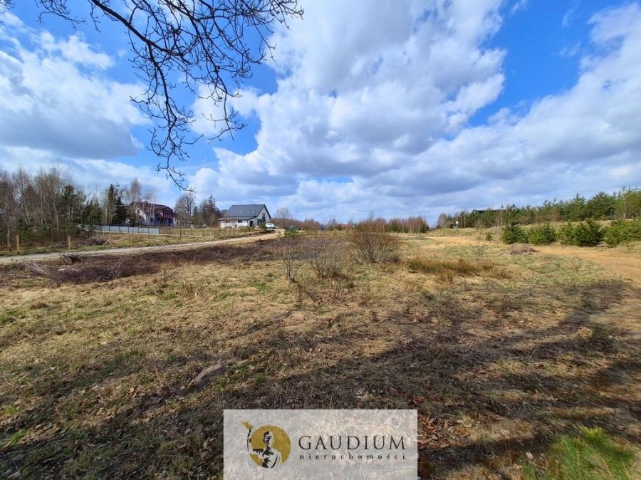 Przystanek natura | działka pod lasem | Kobysewo: zdjęcie 98515526