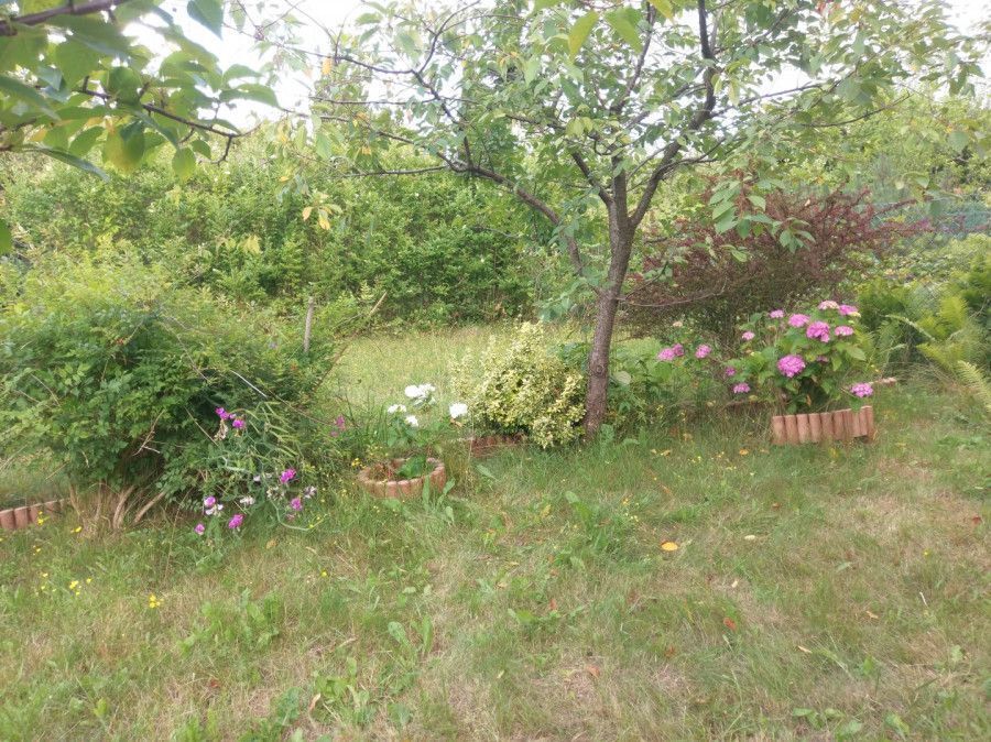 Na sprzedaż działka ROD o powierzchni 243 m²: zdjecie 98517291