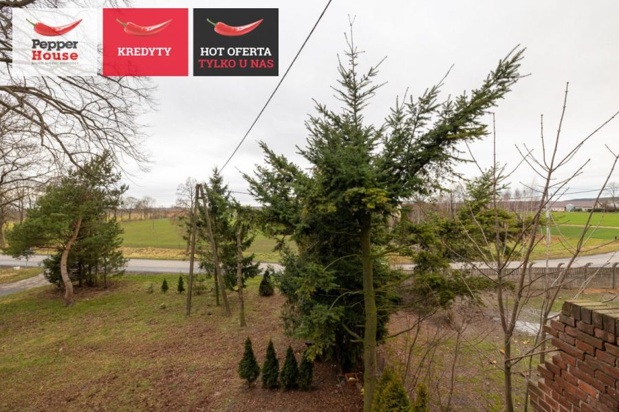 3 pokoje nad morzem! + pomieszczenie gospodarcze: zdjecie 99080271