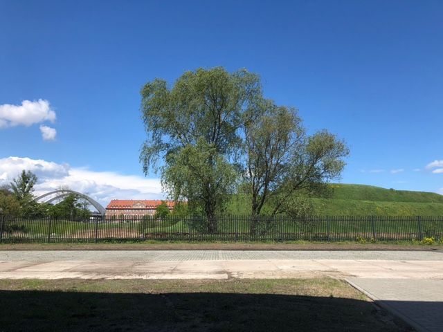Wynajmę teren: zdjęcie 98529697