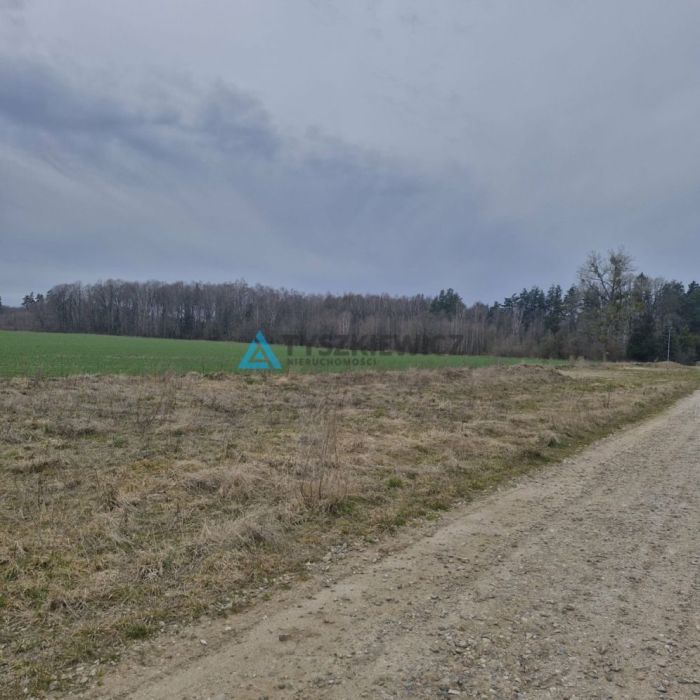 Atrakcyjna działka pod zabudowę jednorodzinną!: zdjęcie 98530619