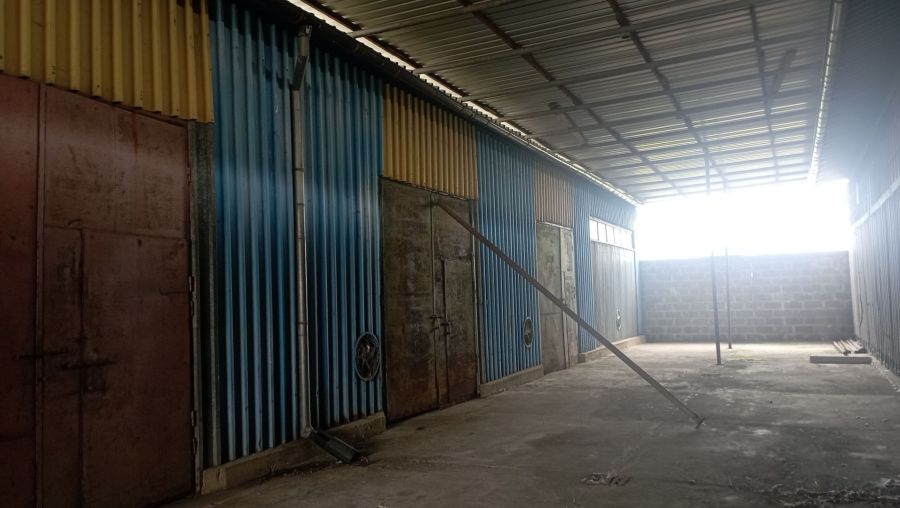 Gdańsk Olszynka, magazyn 450 mkw: zdjęcie 98536919