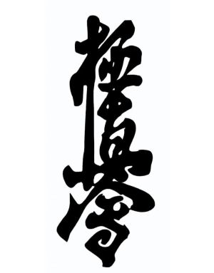 Treningi Karate oraz Szkolenia i Kursy Samoobrony: zdjecie 66414083