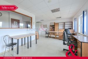 Baza Dla Firm Hala/Magazyn Dom Świetna Cena!: zdjecie 66539901