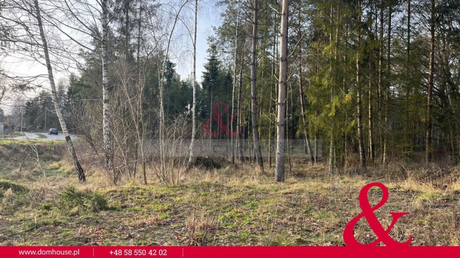 Otomin Działka w otoczeniu lasu: zdjecie 98867799