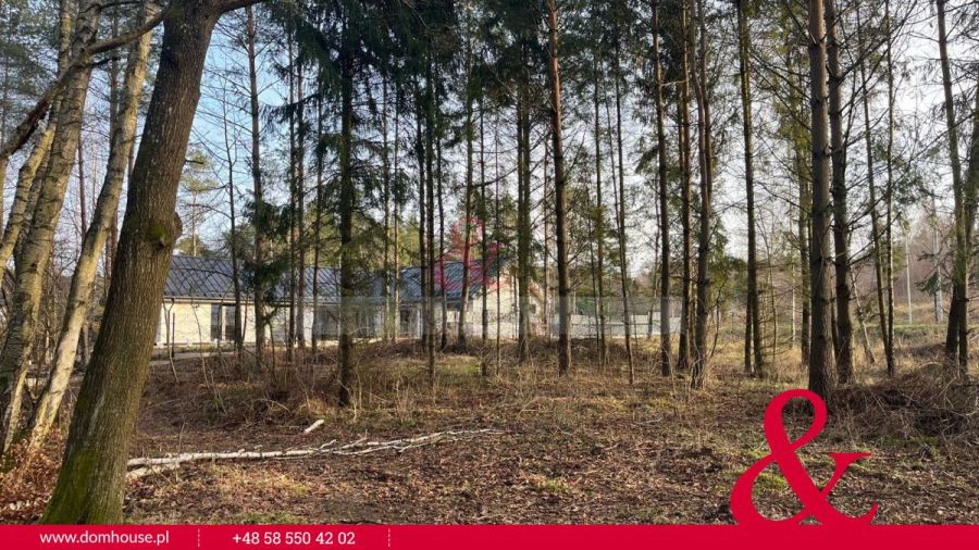 Otomin Działka w otoczeniu lasu: zdjecie 98867800