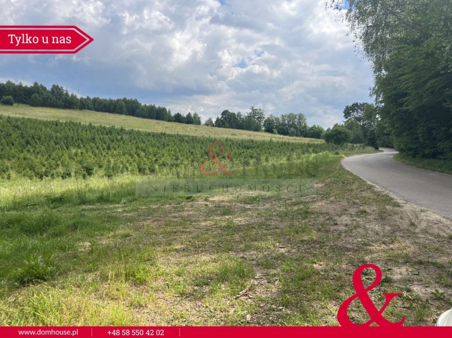 Działki na Kaszubach z granicą Lasu: zdjecie 98870346